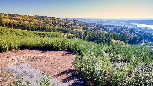 3105 Green Mountain RD #A, Kalama, WA 98625