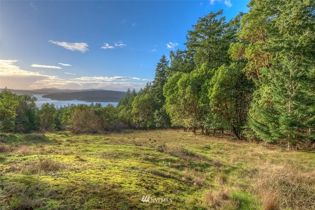 Orcas Island, WA 98245,65 Crane LN