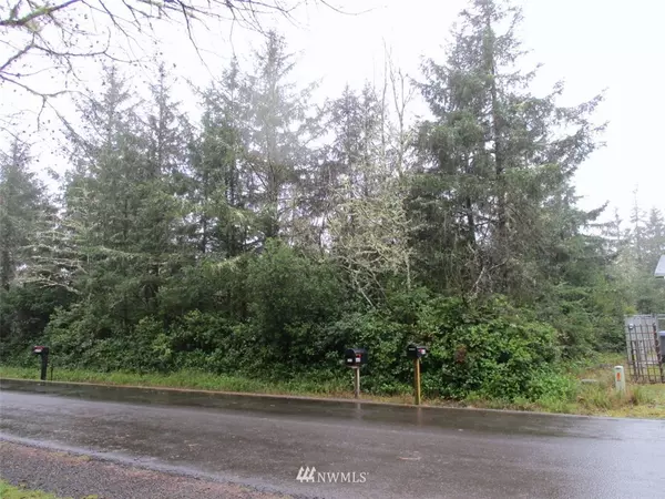 Ocean Shores, WA 98569,659 Woodland LOOP