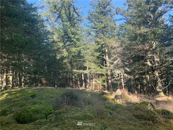 Orcas Island, WA 98245,0 Ivy LN