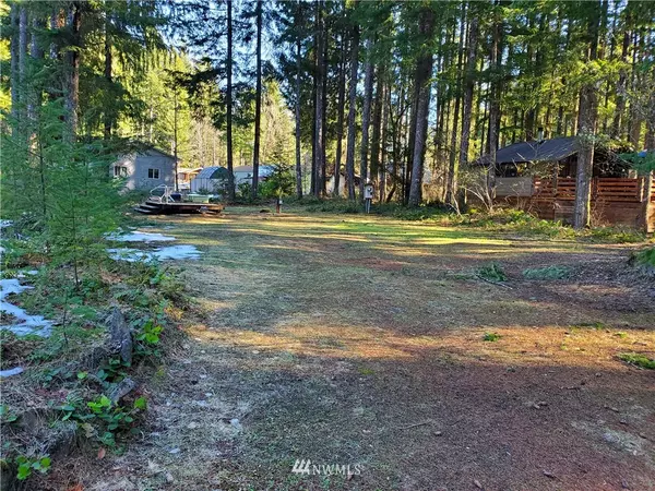 Packwood, WA 98361,120 Cowlitz View DR