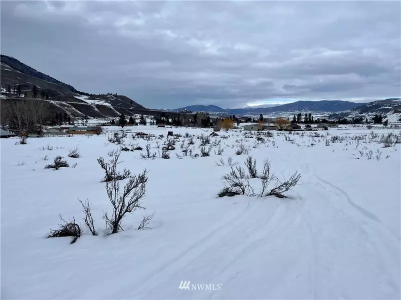 24 Ross RD, Twisp, WA 98856