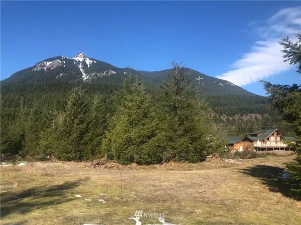 Packwood, WA 98361,155 Eagle Peak DR