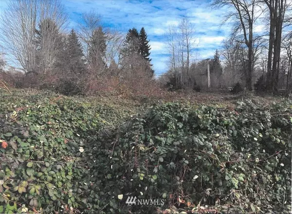 999 Lot 6-25 Blk 1 Carroll's Canal View Est, Brinnon, WA 98320