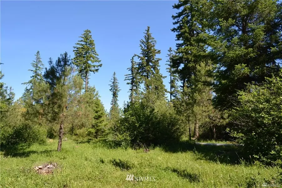 17 Kokanee LOOP, Cle Elum, WA 98922