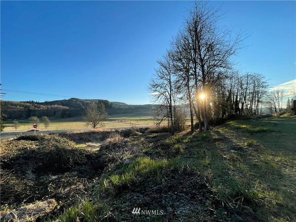 472 Jarvis RD, Mossyrock, WA 98564