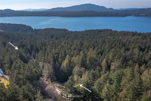 0 XX Eagle Ridge RD, Orcas Island, WA 98245