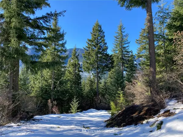 Cle Elum, WA 98922,0 Lot 1 Pasco RD