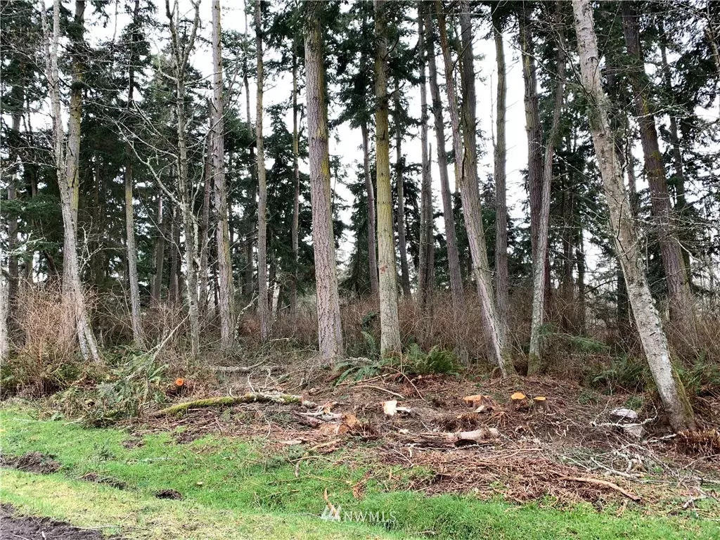 Freeland, WA 98249,0 Ander Park