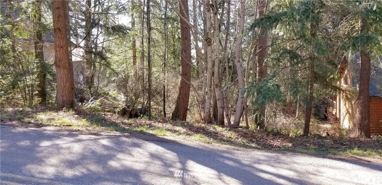0 Lot 49 Agate RD, Bellingham, WA 98226