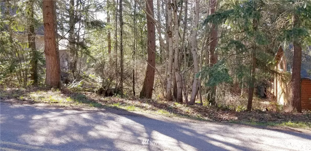 Bellingham, WA 98226,0 Lot 49 Agate RD