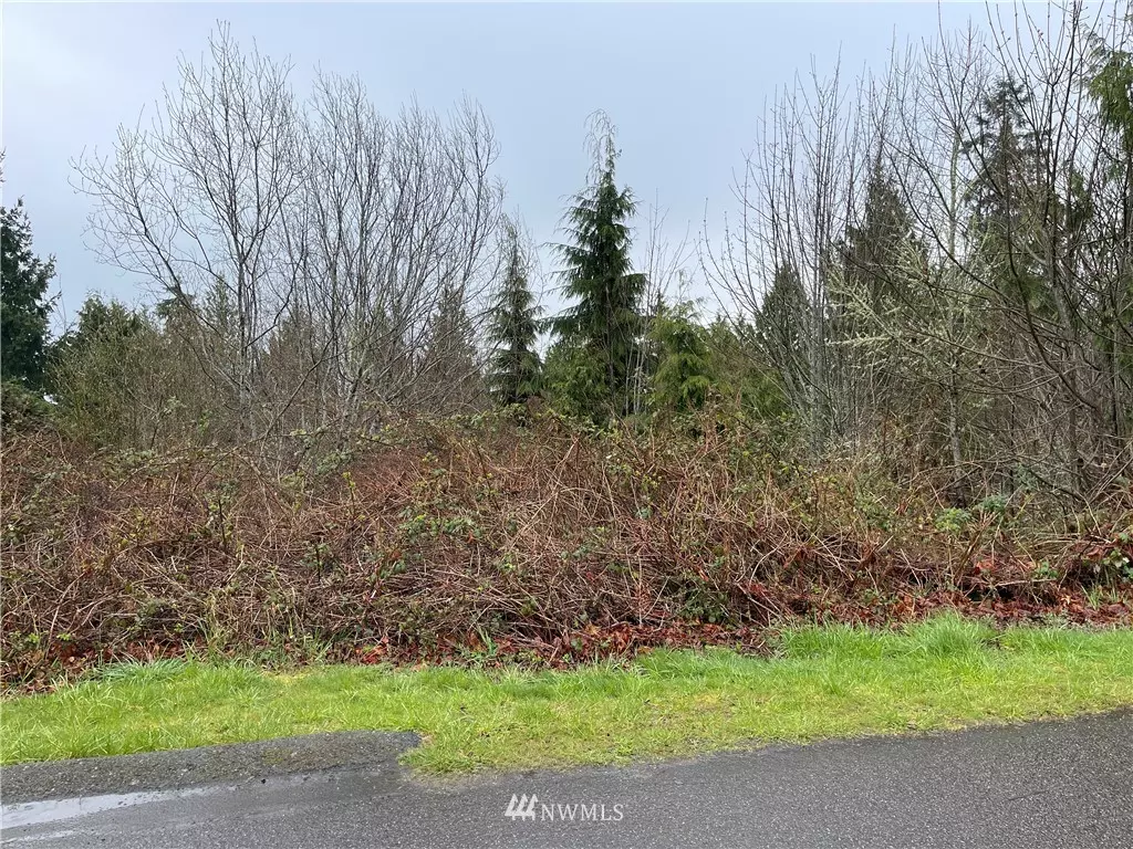 Port Ludlow, WA 98365,0 Wheeler LN