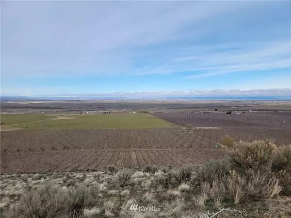 6221 SW U RD, George, WA 98848