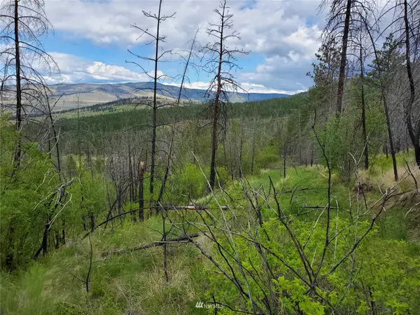 Riverside, WA 98849,0 960X Knox RD