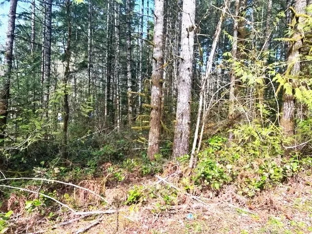 Grapeview, WA 98546,0 XXX E Mossflower LN