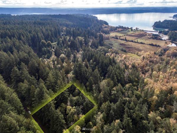 12204 Sound DR, Anderson Island, WA 98303