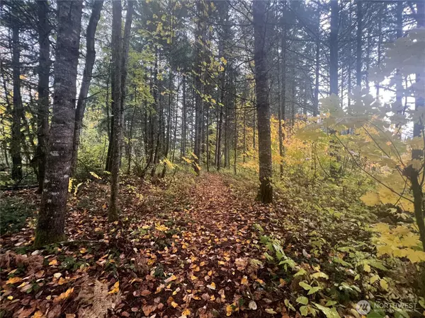 Randle, WA 98377,0 Morris RD