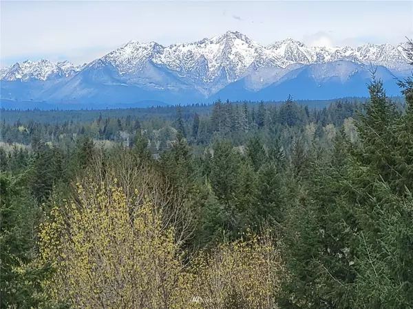 Grapeview, WA 98546,110 E Glacier Crest