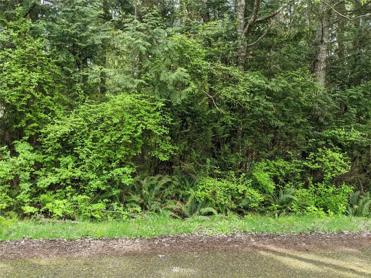 Point Roberts, WA 98281,3 Georgia CT