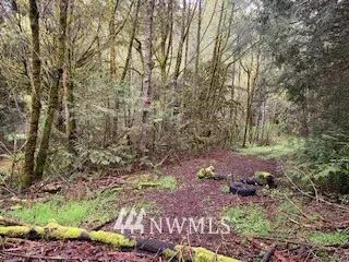 Belfair, WA 98528,0 Lot 9D E Cedar ST