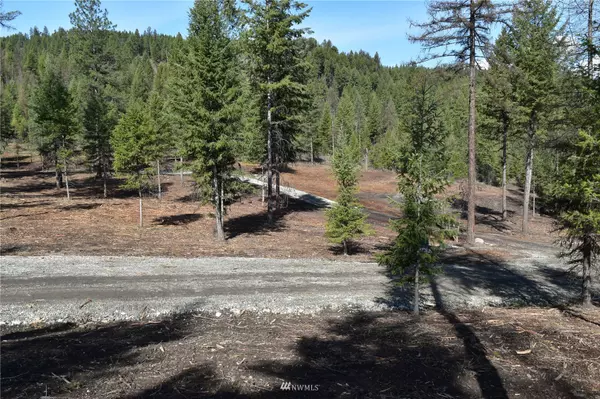 Republic, WA 99166,0 Lot3 TBD Boulder WAY