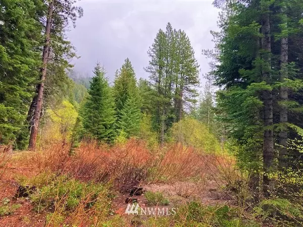 Leavenworth, WA 98826,0 HWY 2