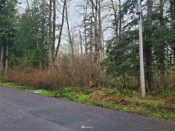 Ashford, WA 98328,0 Fairway DR