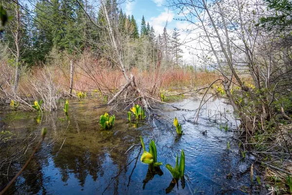 Leavenworth, WA 98826,1111 Coulter Creek RD