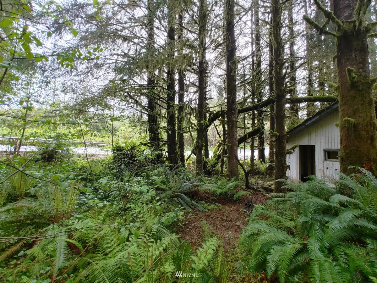 Sekiu, WA 98381,12300 Hwy 112