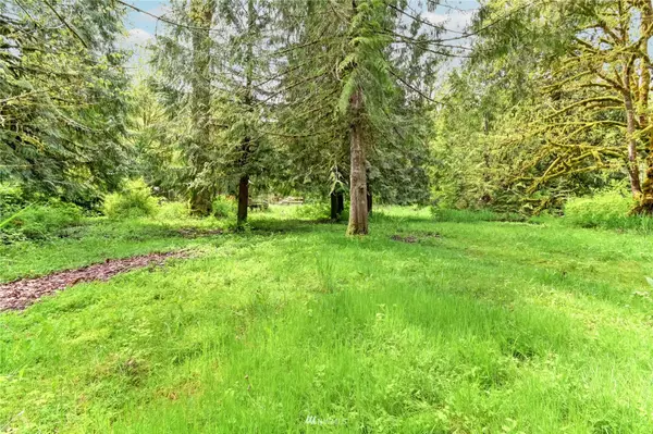 Granite Falls, WA 98252,410 Paradise LN