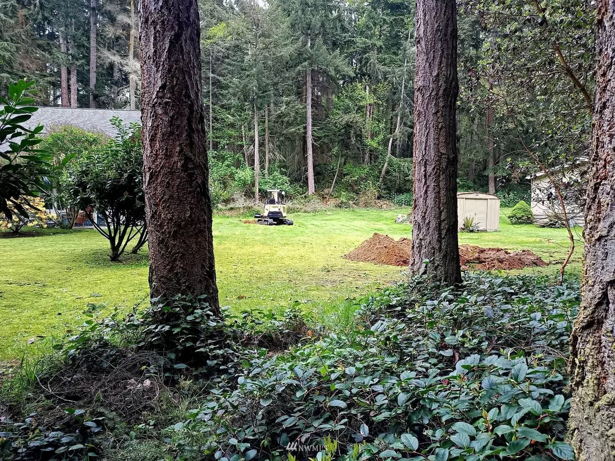 Freeland, WA 98249,0 Lot 3 Moonlight DR