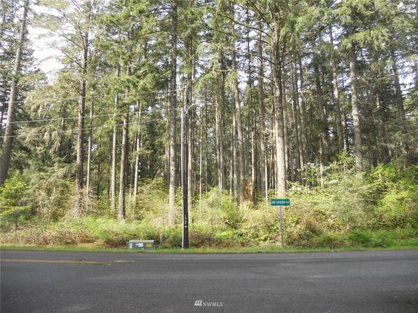 10415 Lake Josephine BLVD, Anderson Island, WA 98303