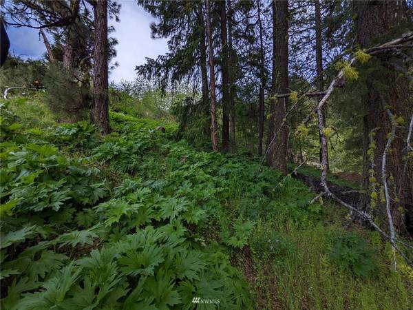 0 Lot D D2 Timber Ridge Canyon RD, Leavenworth, WA 98826