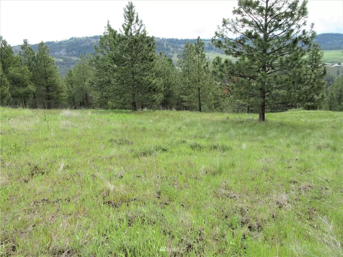 Republic, WA 99166,0 Lot 26 Meadowlark LN