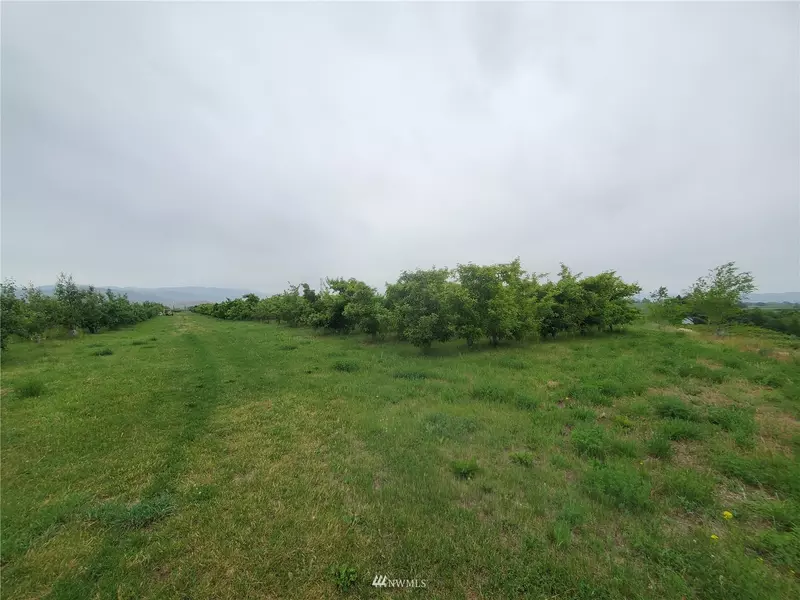 0 TBD Bide-A-Wee RD, Omak, WA 98841