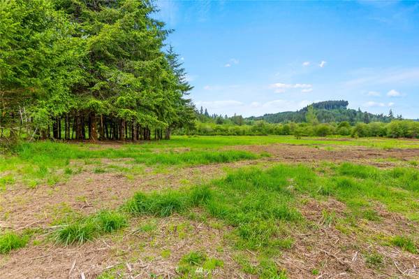 0 Bunker Creek RD, Adna, WA 98522