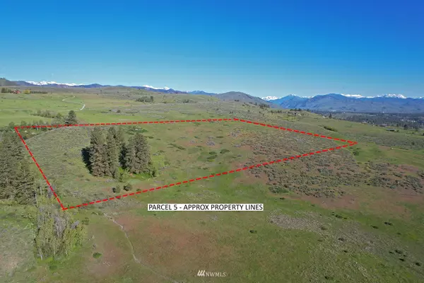 5 - Parcel Signal Hill RD, Twisp, WA 98856