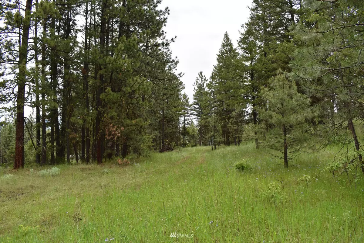 Tonasket, WA 98855,1 Lot Turtle Run RD