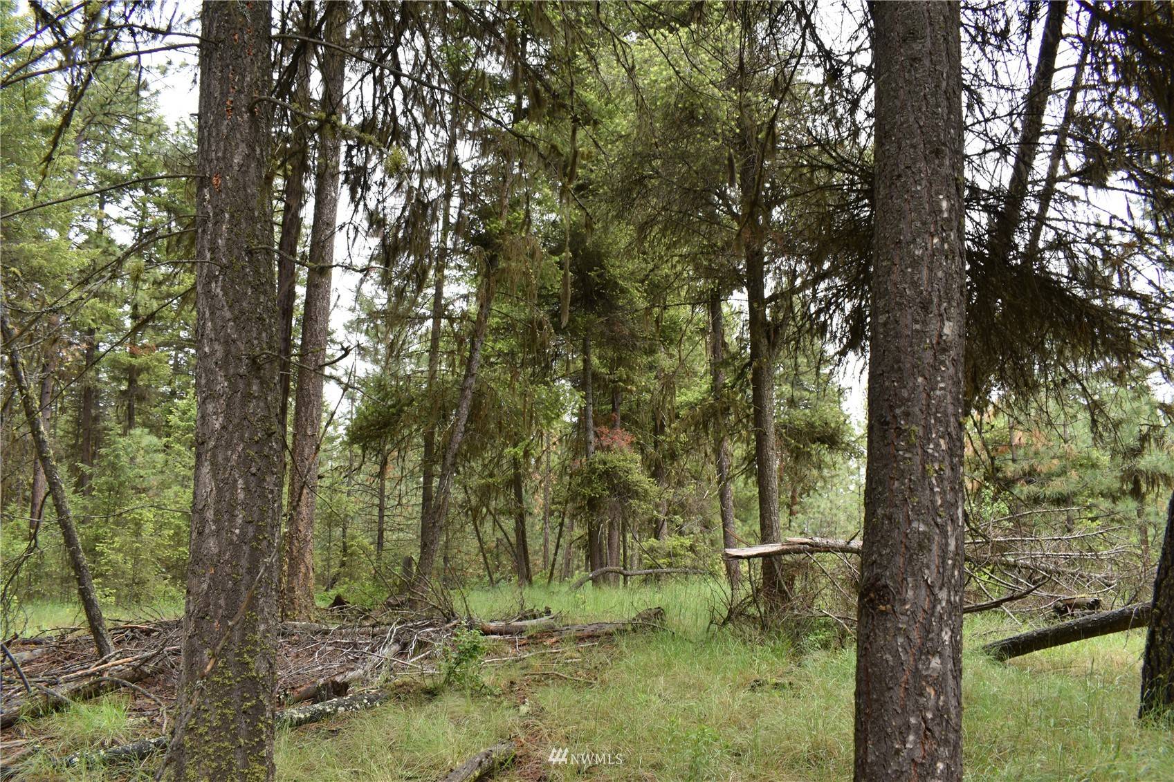 5 Lot Turtle Run RD, Tonasket, WA 98855