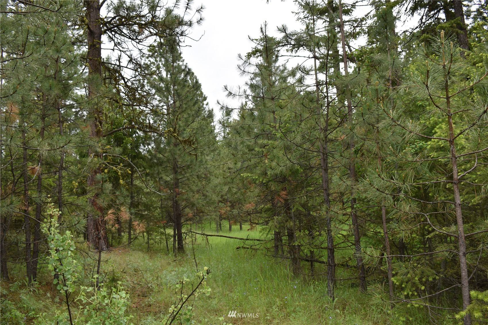 9 Lot Turtle Run RD, Tonasket, WA 98855