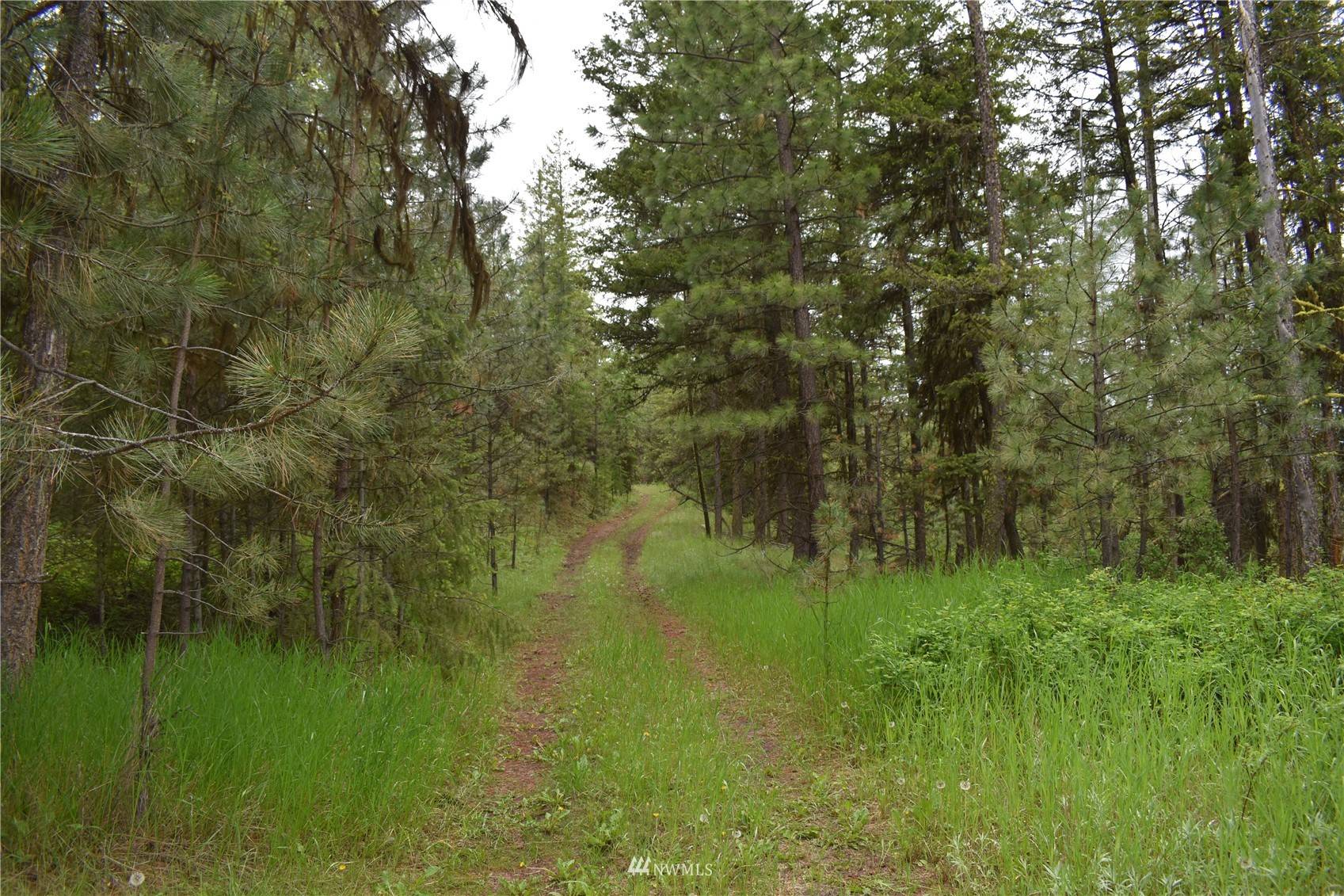 13 Lot Turtle Run RD, Tonasket, WA 98855