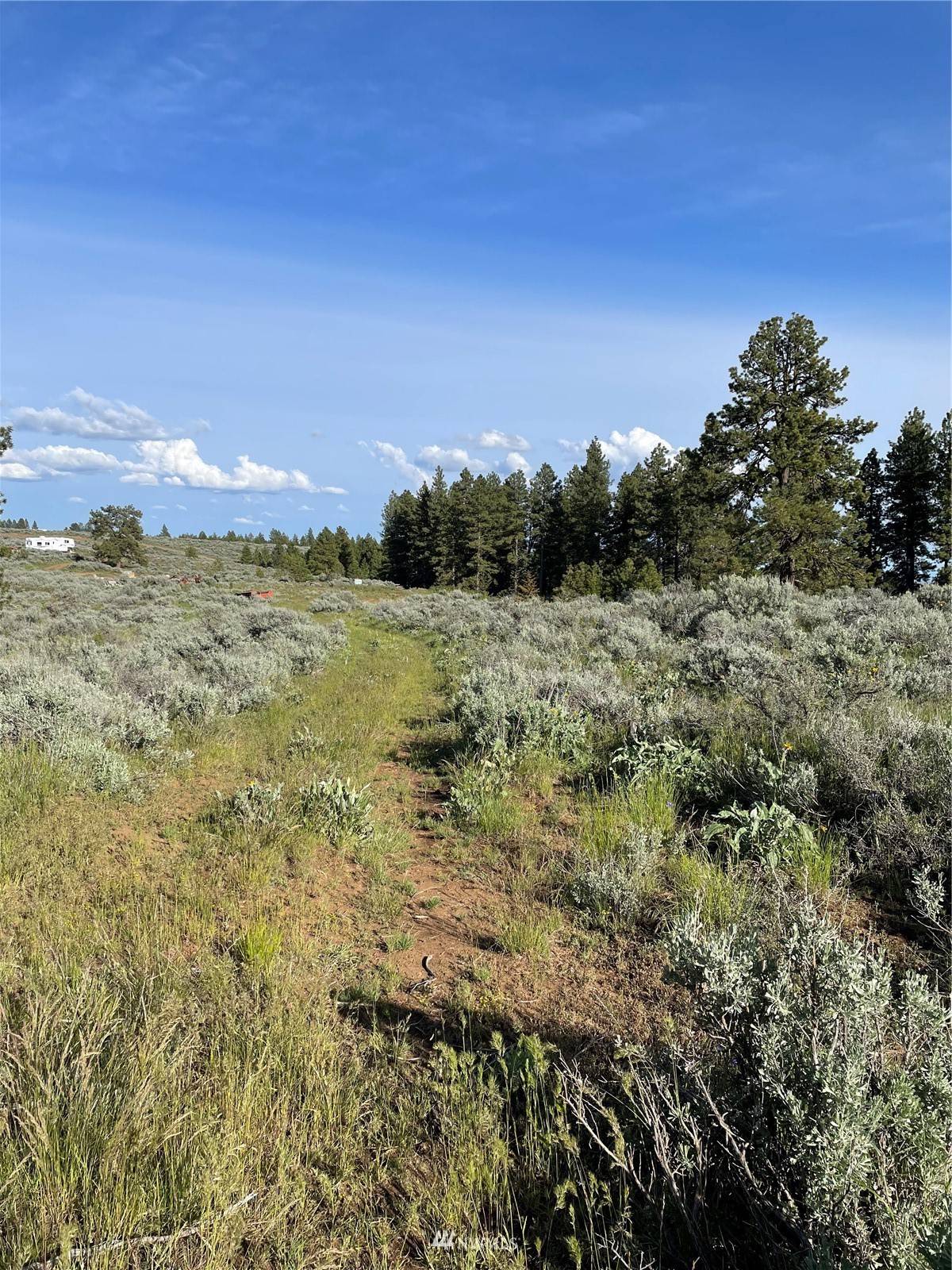East Wenatchee, WA 98802,103 Fir RD