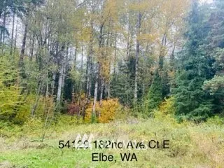 54129 E 182nd Avenue Ct E, Elbe, WA 98330