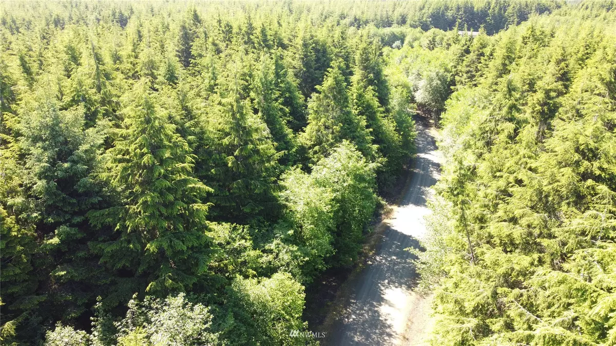 Aberdeen, WA 98520,18 John Cudahy LN