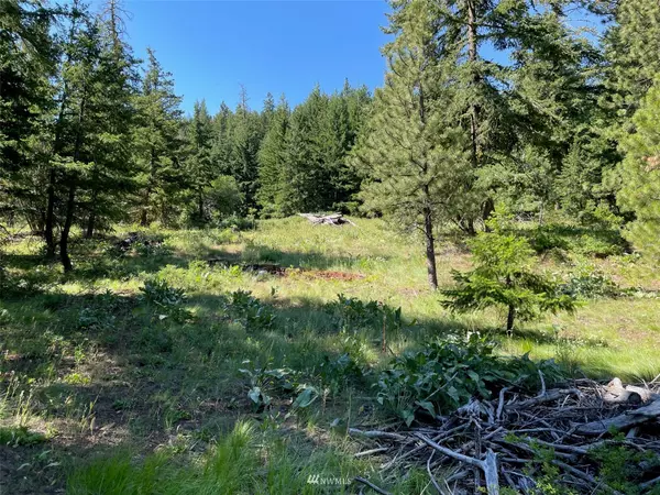 Winthrop, WA 98862,166 Fiddlers RD