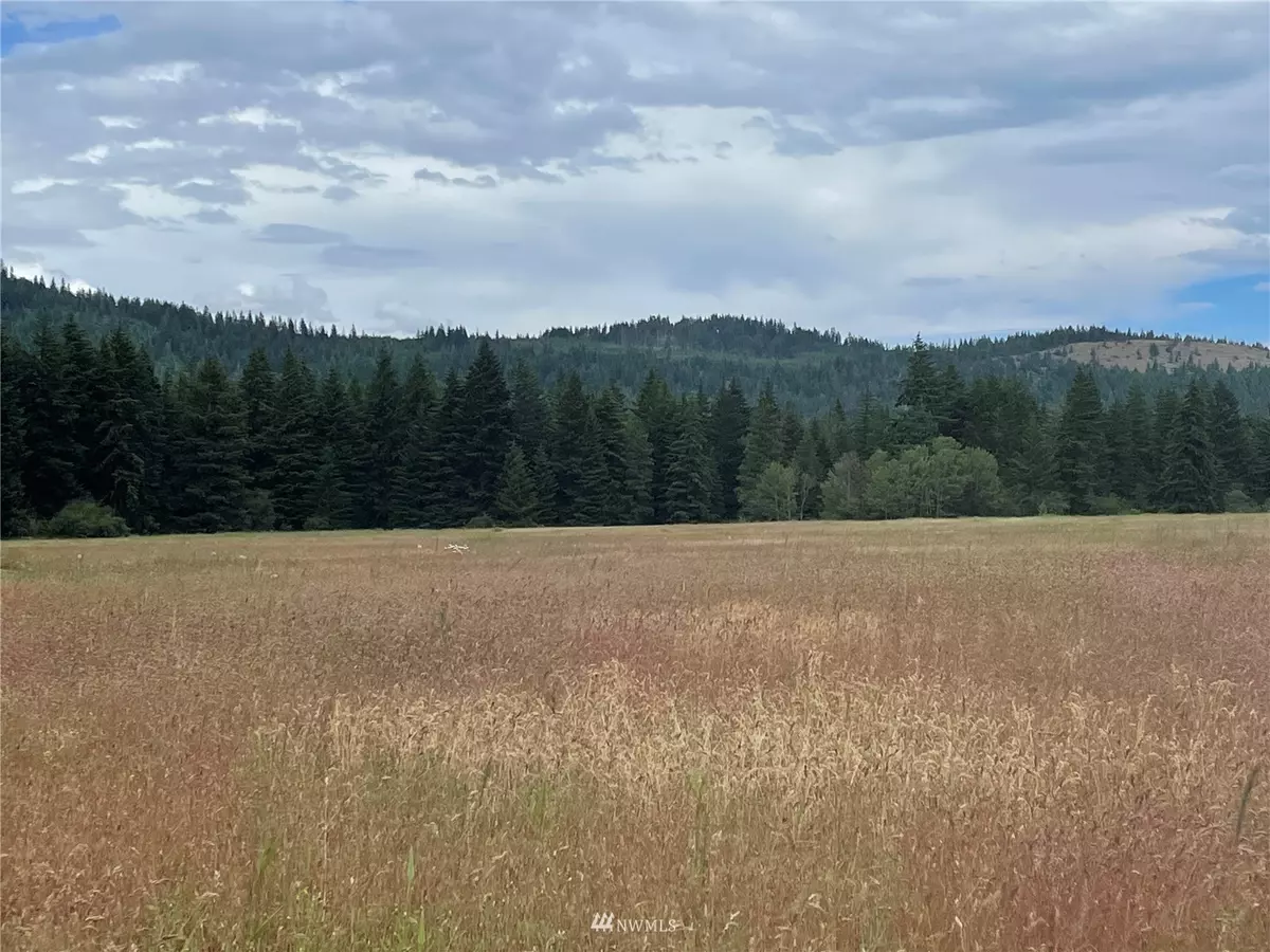 Cle Elum, WA 98922,1 TBD Nelson Siding RD