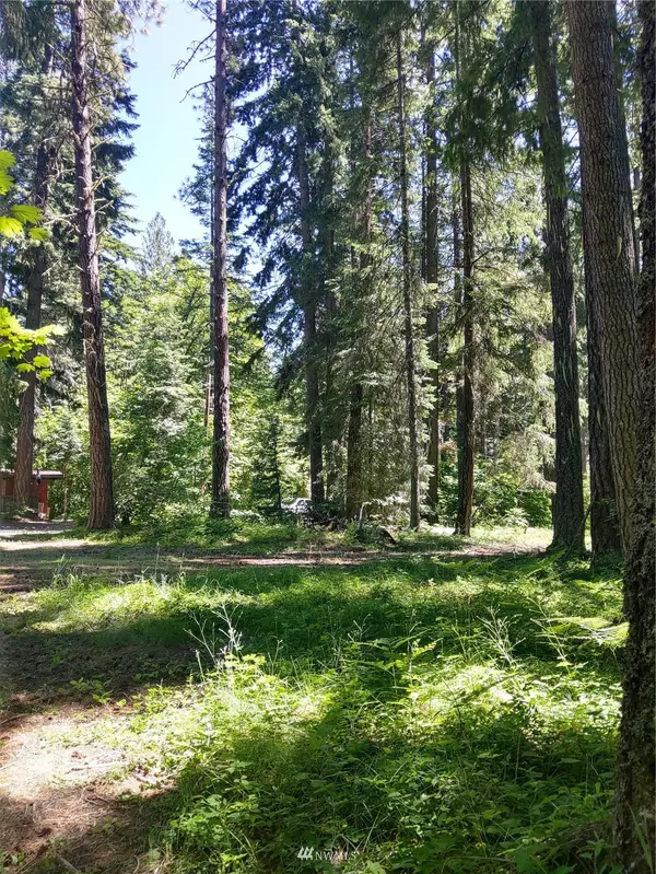 441 Spring Creek RD, Ronald, WA 98940