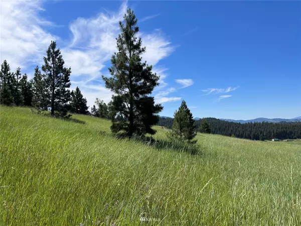 Republic, WA 99166,0 Lot 14 Grizzly Loop RD