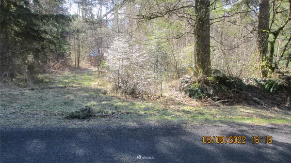 31414 Mount Tahoma Canyon E, Ashford, WA 98304