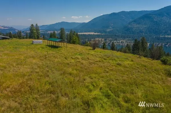 Kettle Falls, WA 99141,3589 Critter WAY